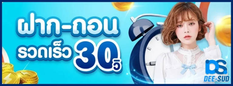 DEESUD-โปรโมชั่น